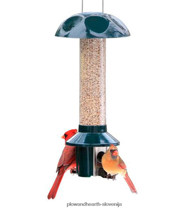Ptičja krmilnica pestoff mešanica sončničnih semen, odporna na škodljivce Plow & Hearth 2V4608743 dvorišče & vrt