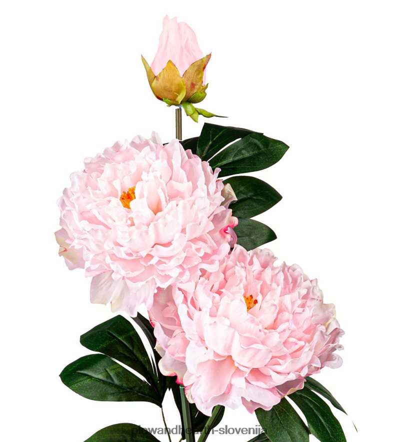 sončni vrtni količek svetlo rožnate potonike Plow & Hearth 2V4608257 dvorišče & vrt