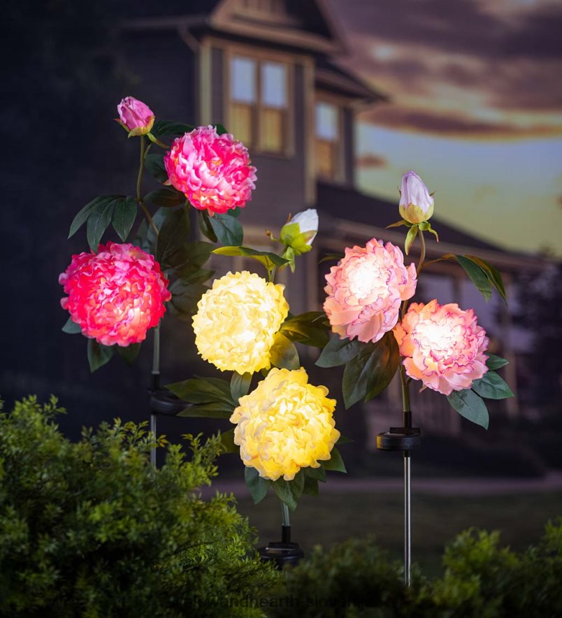 sončni vrtni količek svetlo rožnate potonike Plow & Hearth 2V4608257 dvorišče & vrt