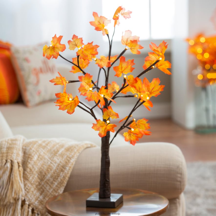 notranji/zunanji osvetljen namizni javor s 24 lučkami Plow & Hearth 2V46082348 gospodinjska posoda