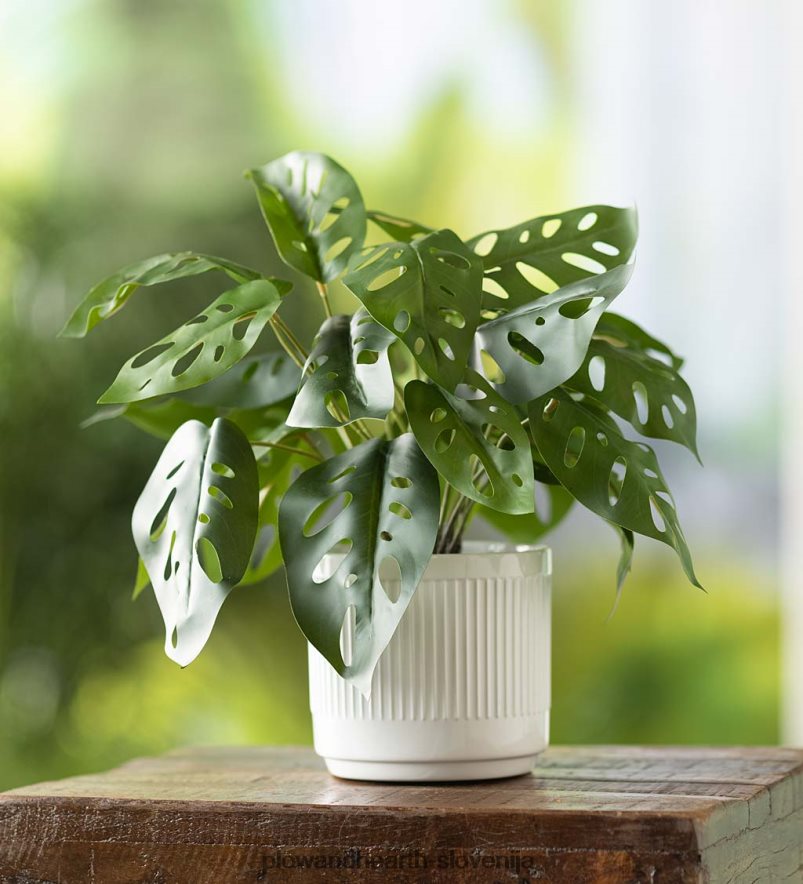 ponarejena prava monstera umetna lončnica Plow & Hearth 2V46082404 gospodinjska posoda