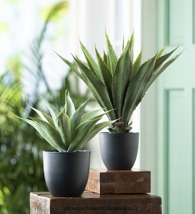 umetna lončnica iz prave agave Plow & Hearth 2V46082399 gospodinjska posoda