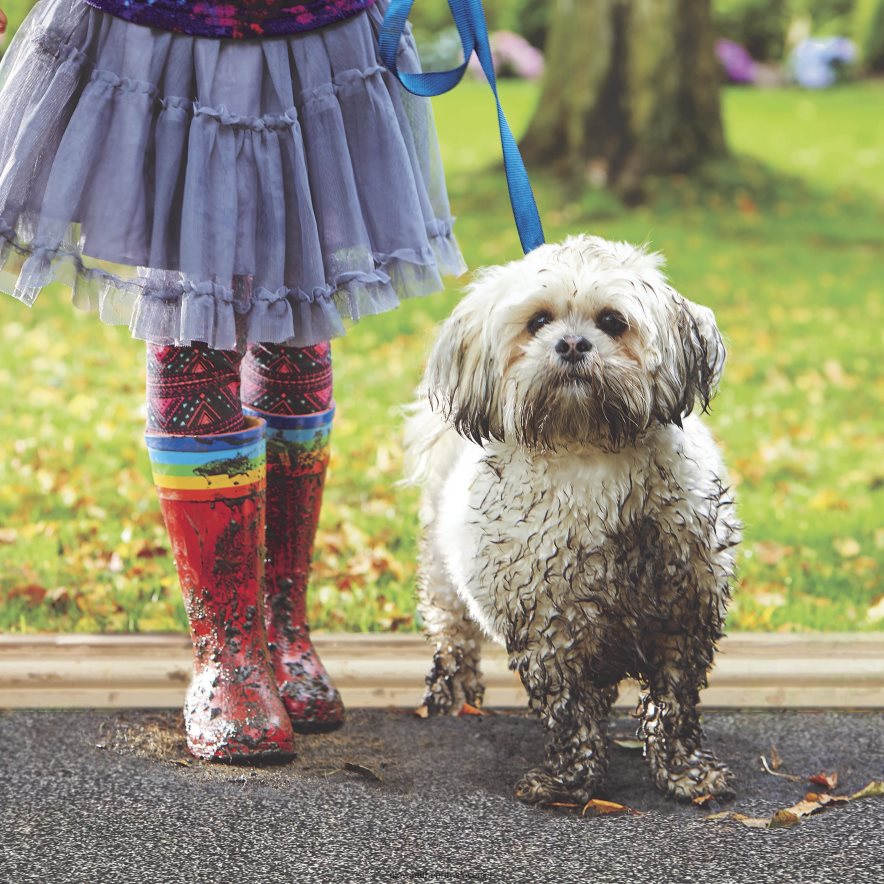 my mat blatna preproga za lovljenje umazanije, 19 x 29 - kava Plow & Hearth 2V46083167 preproge in predpražniki