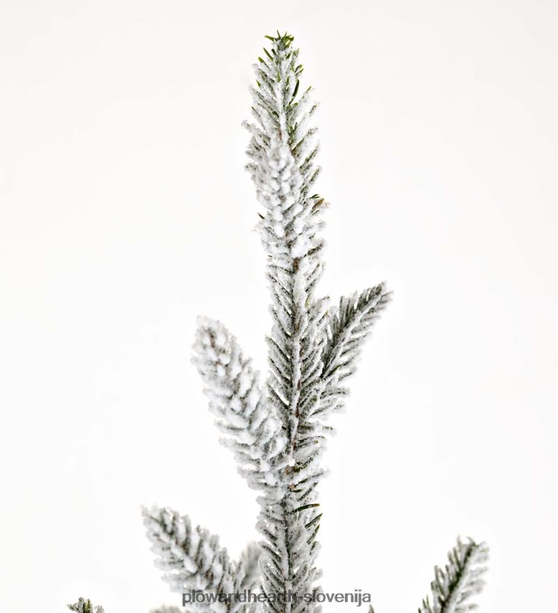 kosmičena roanoke smreka božično drevo Plow & Hearth 2V46082289 sezonsko in darila