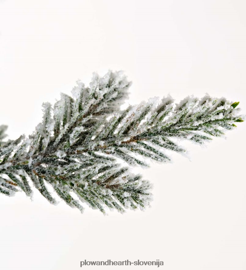 kosmičena roanoke smreka božično drevo Plow & Hearth 2V46082289 sezonsko in darila